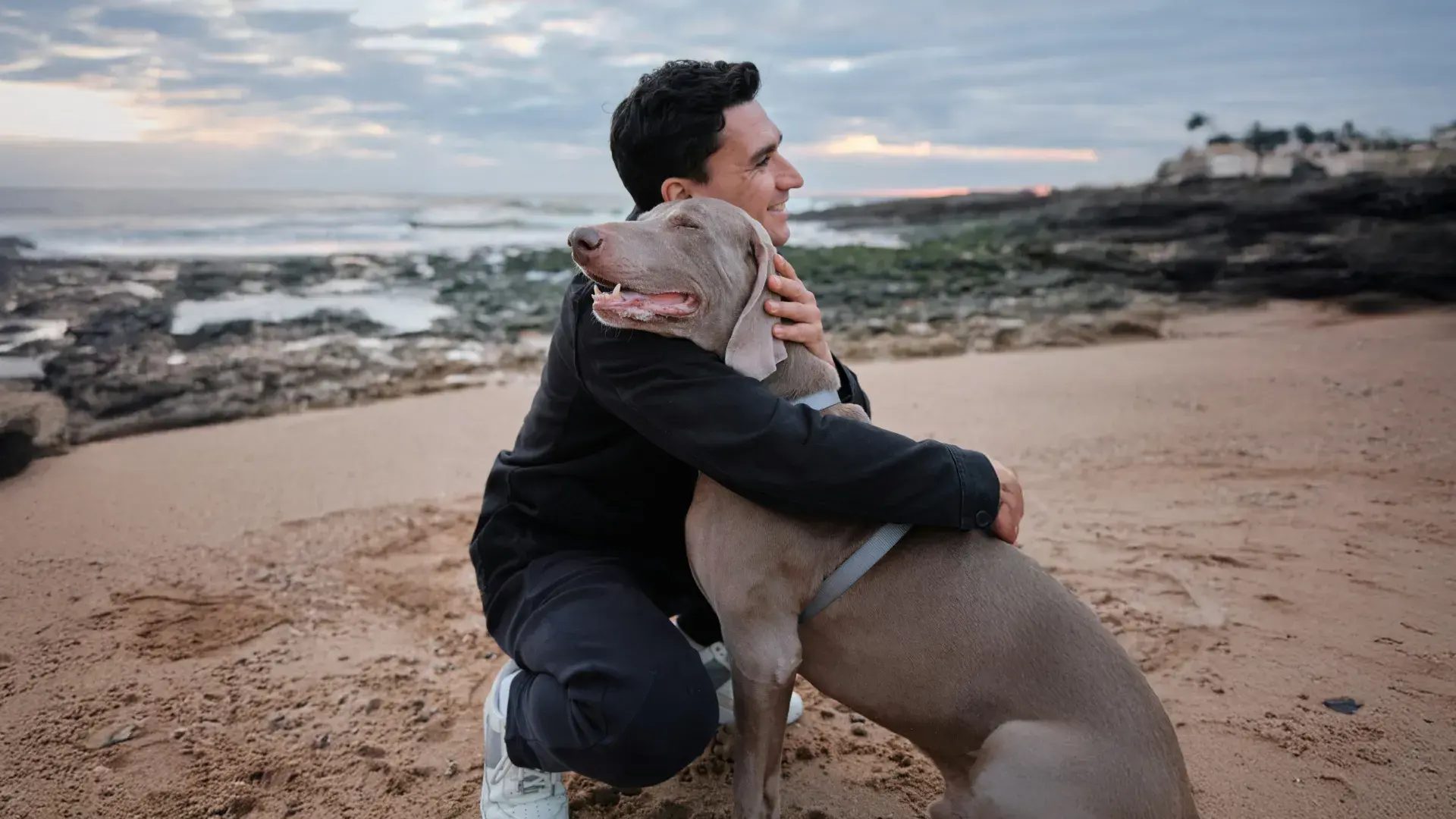 A white dog in a harness is captured mid-jump, looking up with excitement at its owner (seen from the back) in a leaf-filled forest. This lively image represents the physical activity that often helps stimulate a dog's digestive system during a walk.