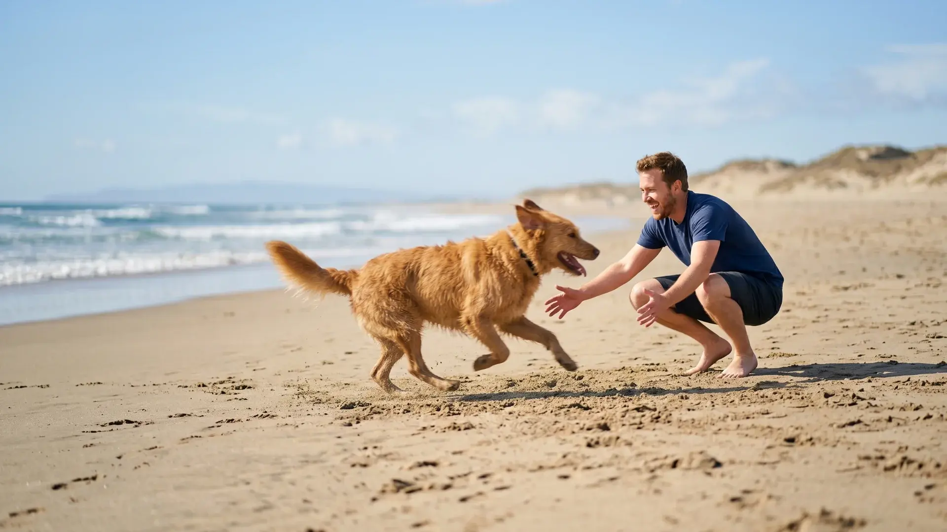 Man training dog recall on beach