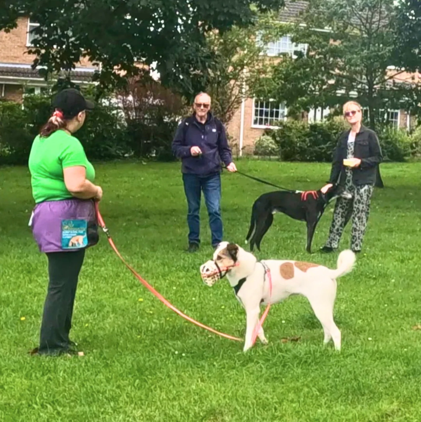 My-clients'-real-world-dog-reactivity-results