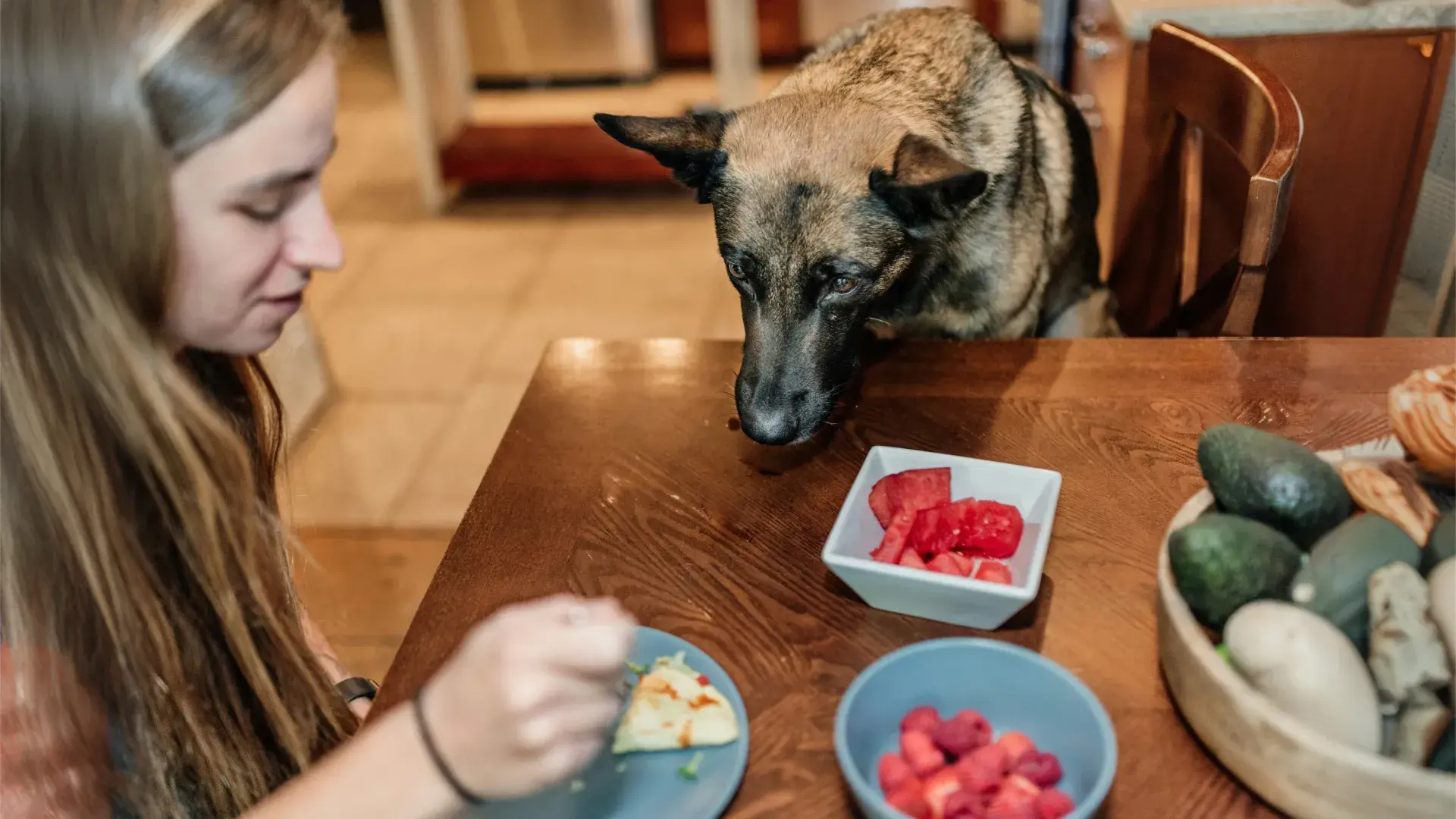 A person holds a fork with a fresh strawberry on it while a dog rests its chin and paw on their arm, waiting patiently for a bite. This high-contrast shot emphasizes the bond between owner and pet during snack time.