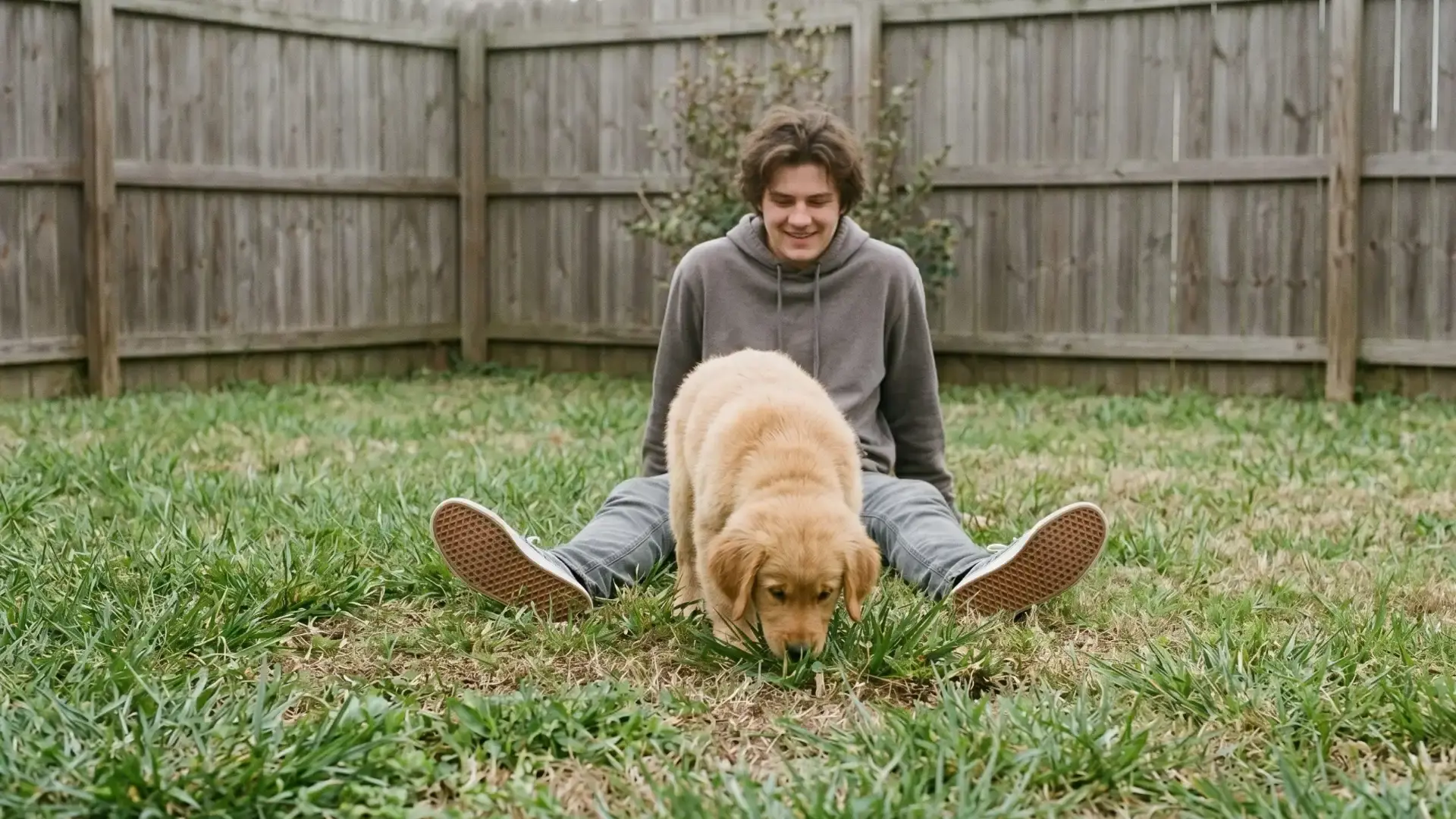 Puppy exploring backyard grass with owner