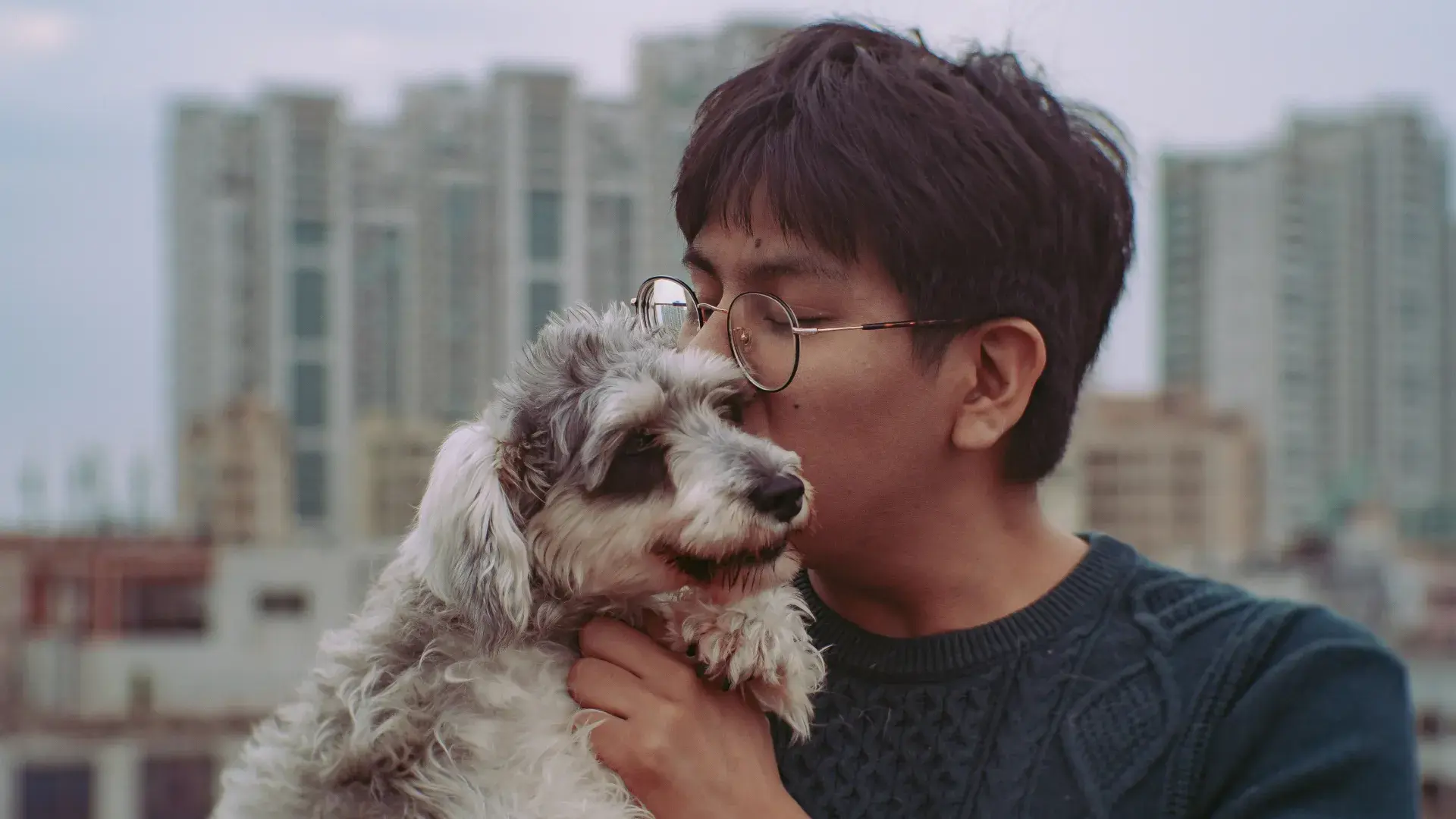 A woman affectionately kissing her white dog on the forehead while sitting outdoors during an autumn walk. This heartwarming image explores whether dogs like kisses and how they perceive human displays of affection.