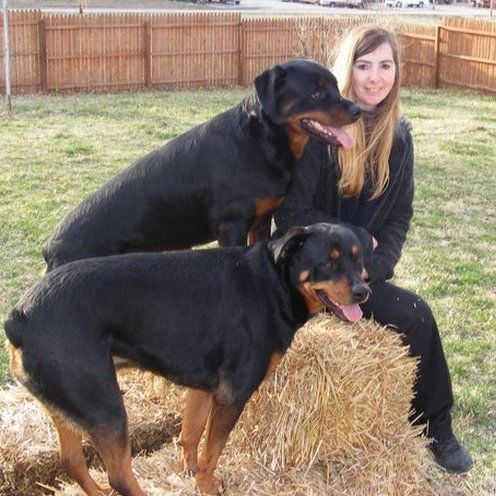 Meet Adrienne Farricelli | Dog Trainer Contributing to PawChamp