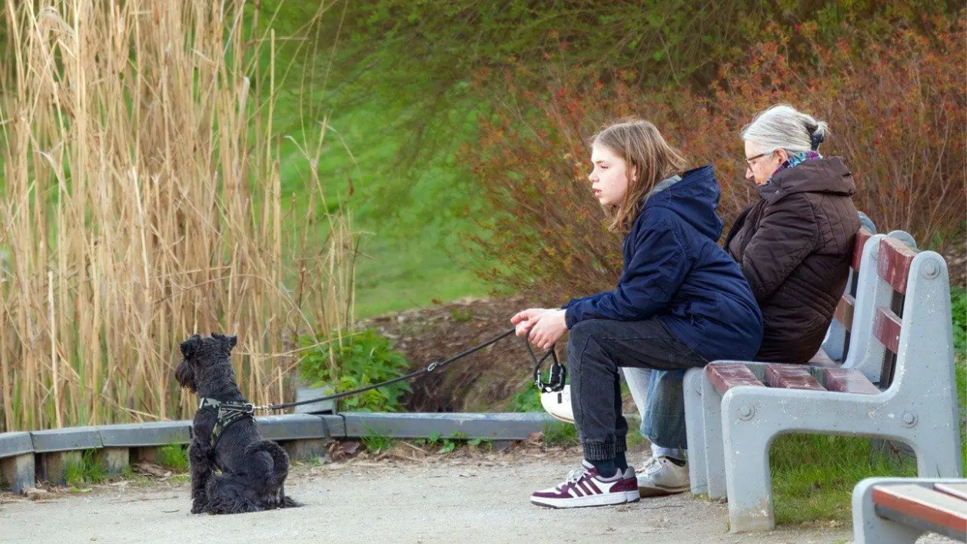 girl holding leash, dog by bench
