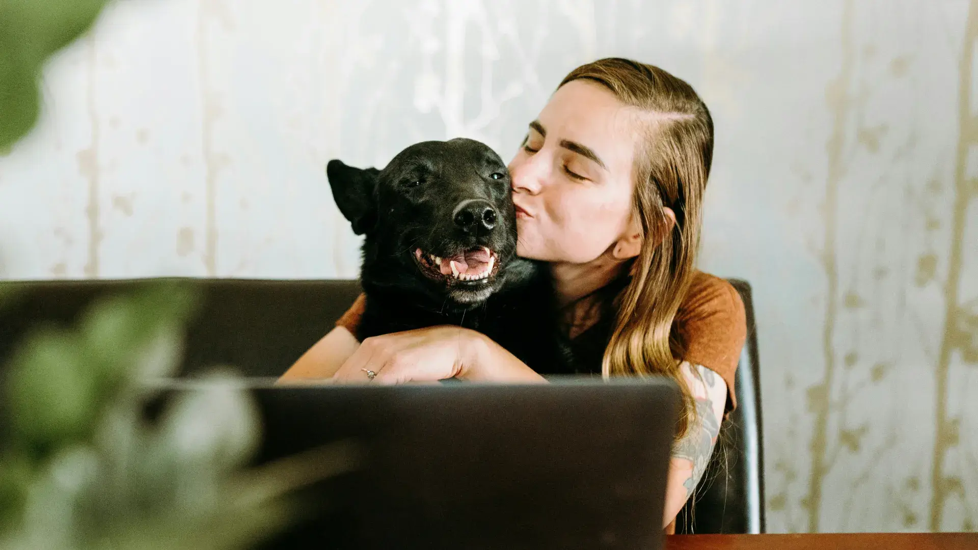 A small, curious white dog following its owner's feet across a wooden floor, illustrating canine loyalty and "Velcro dog" behavior.