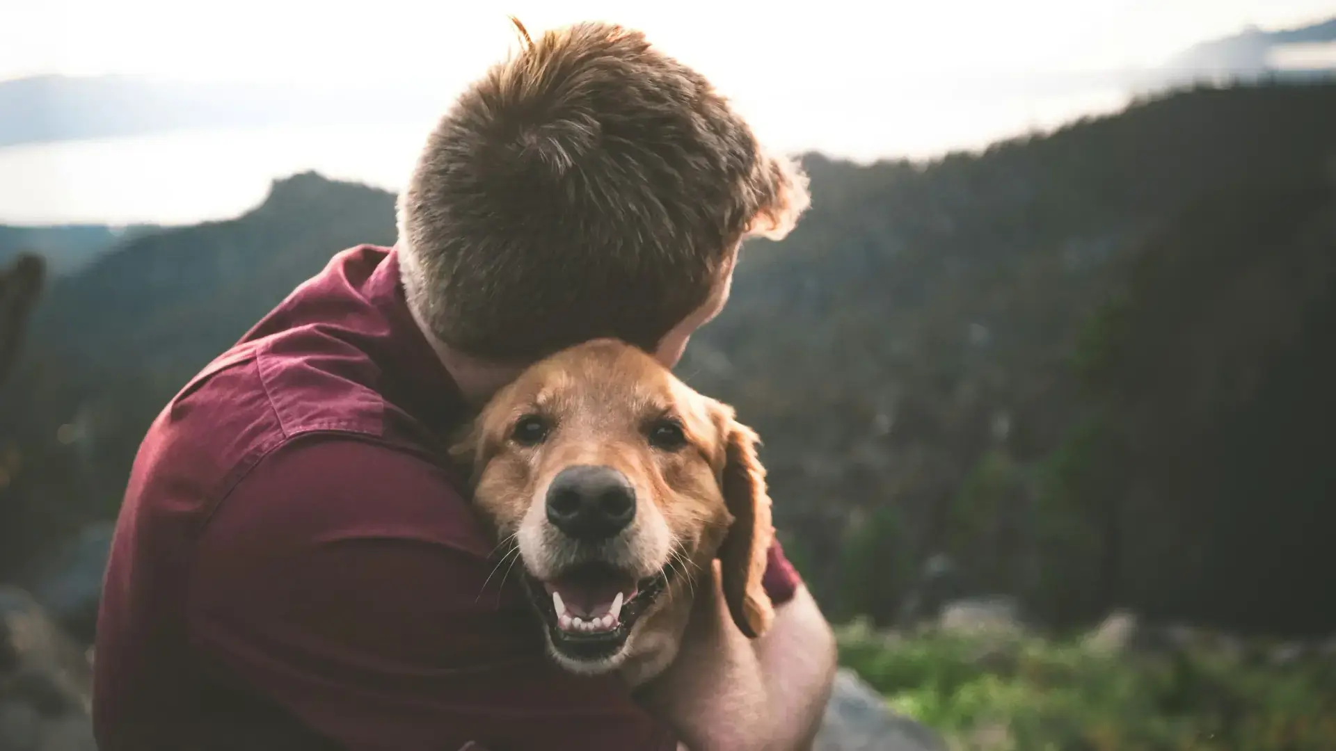 Man hugging happy golden retriever outdoors
