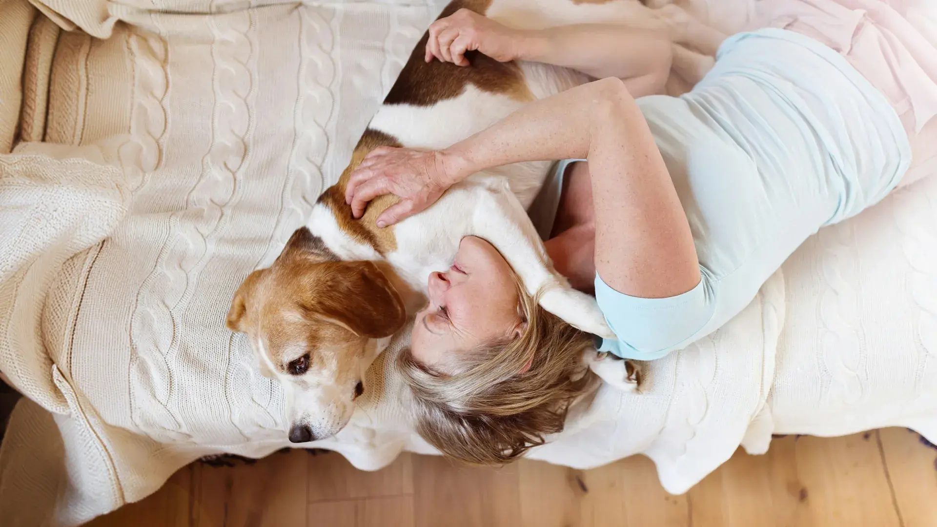 A fluffy Siberian Husky lies on a rug indoors with a bowl of kibble in front, while a person gently brushes its fur in the soft sunlight.