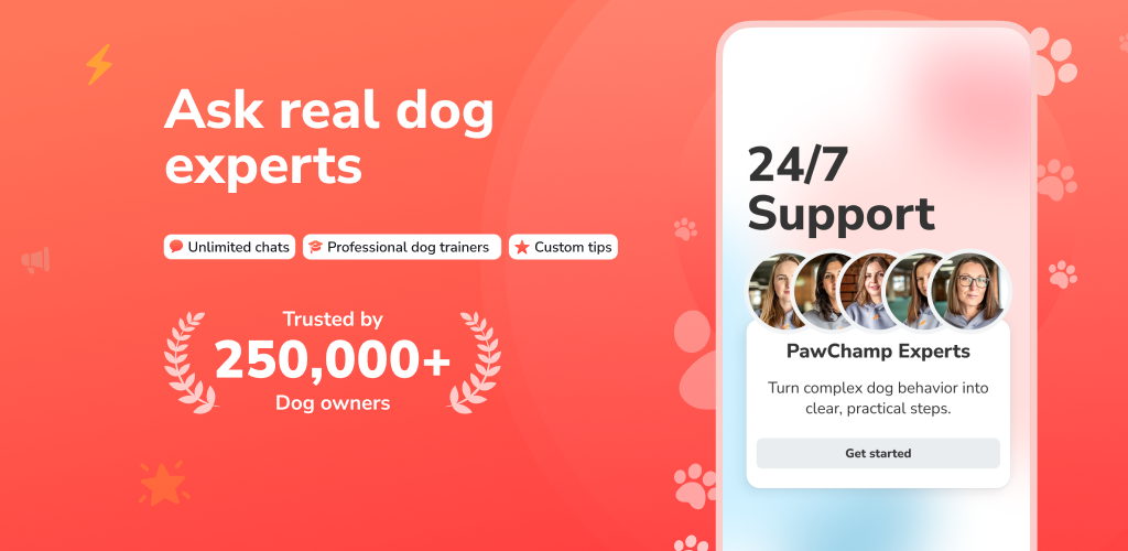 What is “Ask Experts” on PawChamp?
