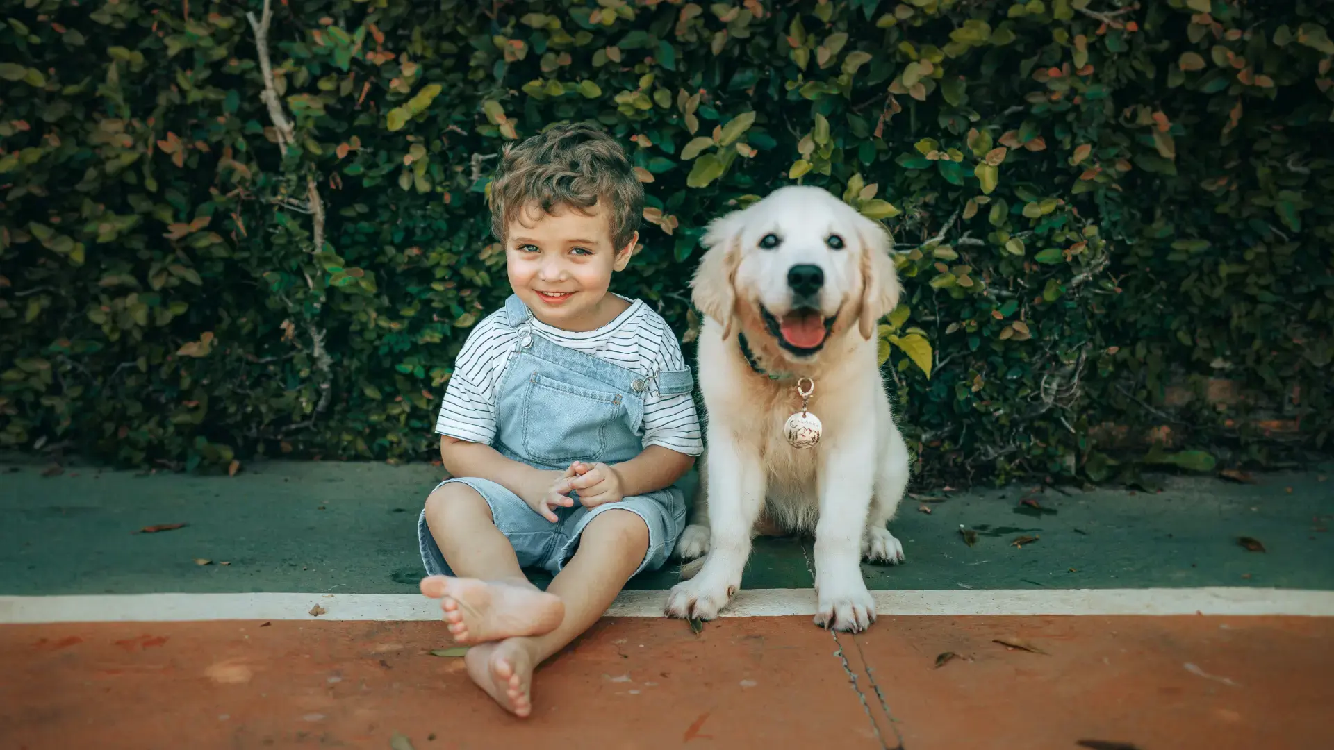 Young child sitting with golden retriever