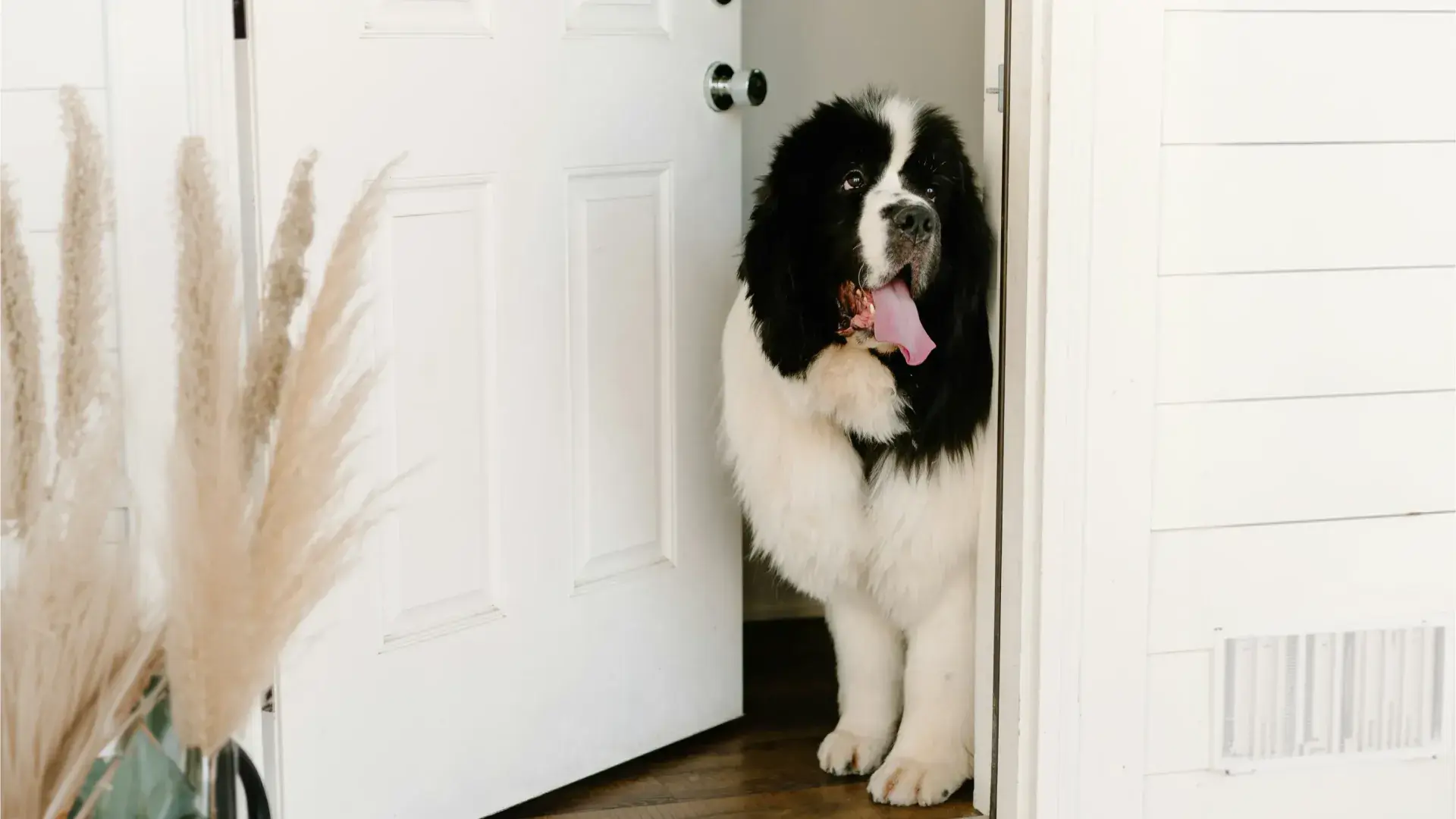 A happy reddish-brown dog sitting comfortably in a plush grey dog bed under a blanket, representing a pet waiting at home while the owner is at work."