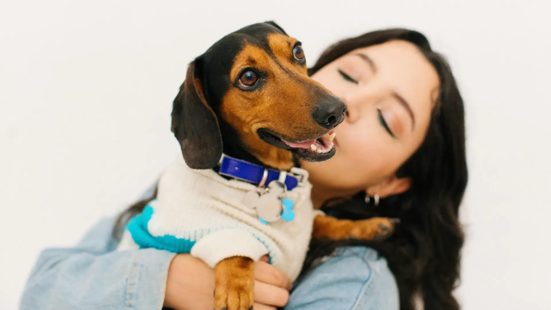 A close-up of a person’s hand gently resting on a dog's head, showing a quiet moment of bonding and mutual trust.