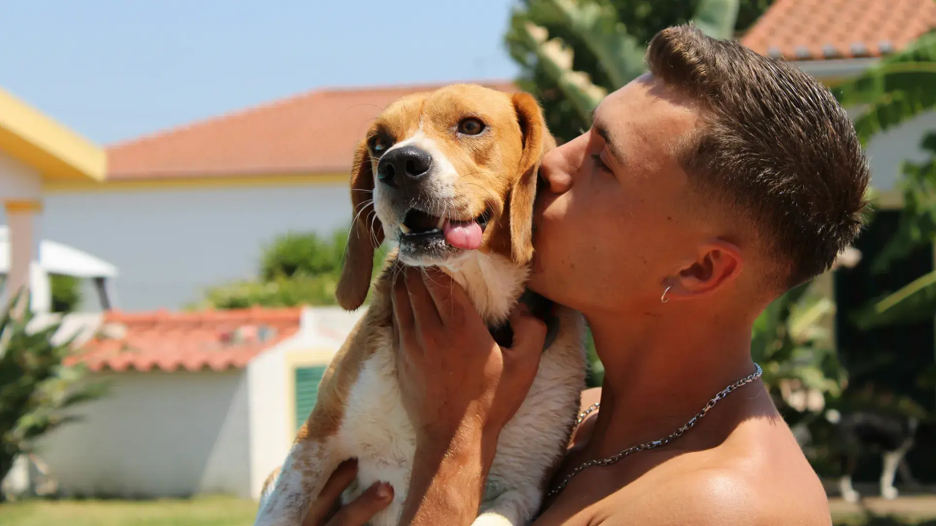 A white dog sitting patiently as its owner leans in for a kiss in a park setting. Understanding if dogs like kisses requires observing their reaction to human affection and physical closeness.