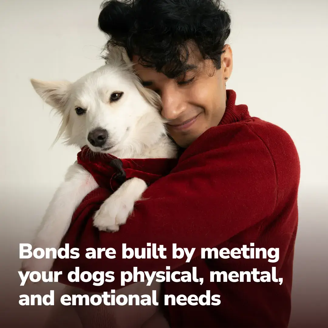 Bonds are built by meeting your dogs physical, mental, and emotional needs