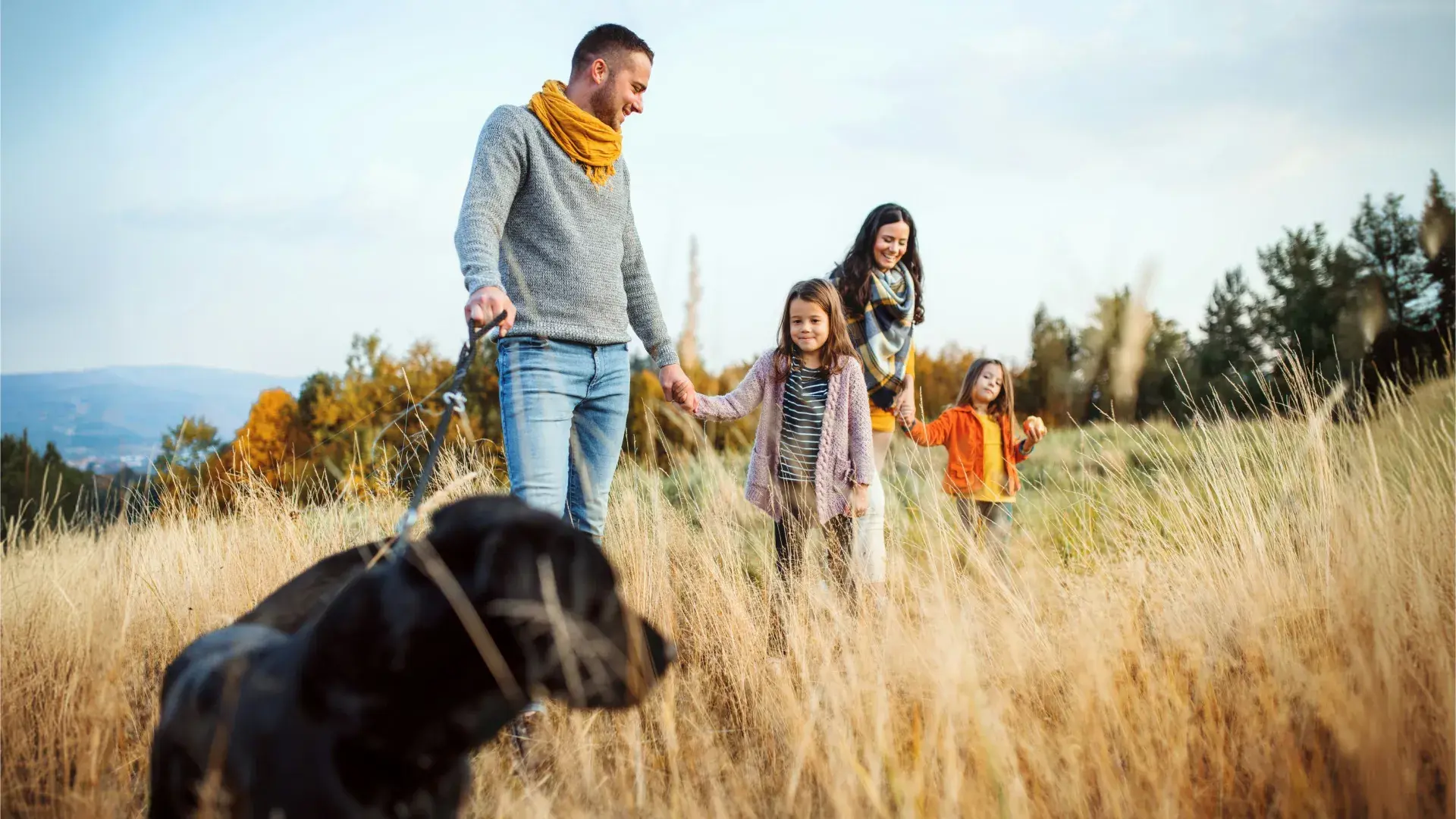 A father and his young daughters walking through tall golden grass with their family dog, representing the best large dog breeds for kids and outdoor activities.