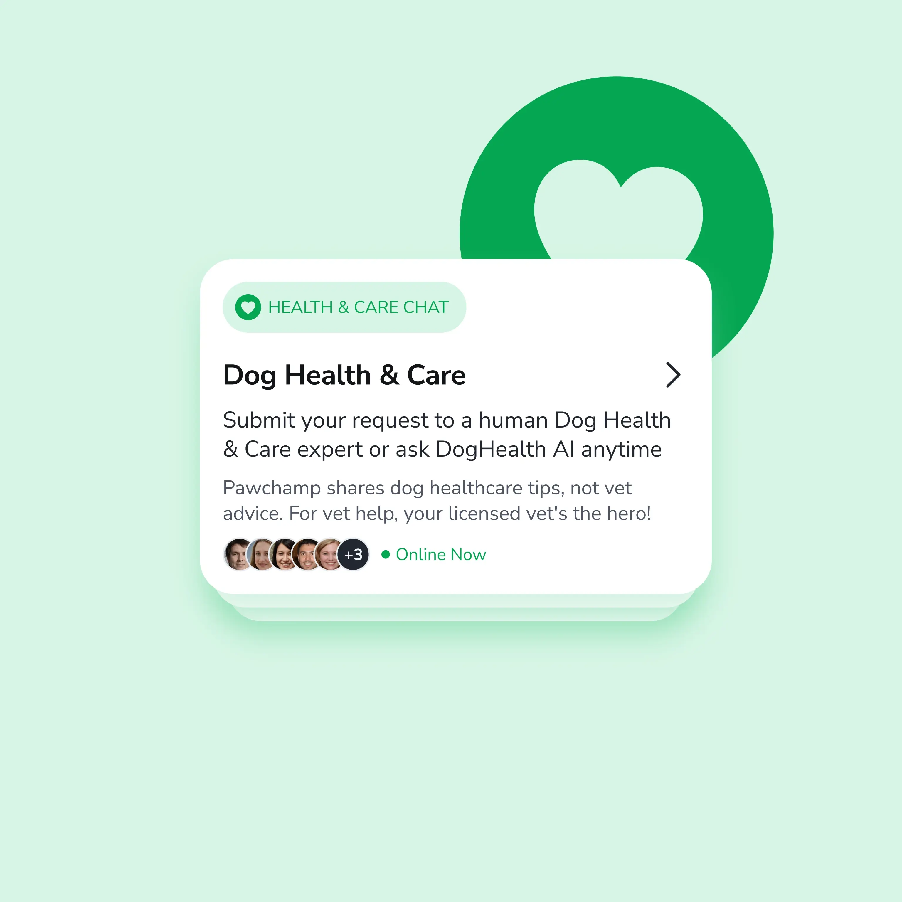 A dog owner chatting with a wellness advisor on a smartphone app while sitting with their dog.