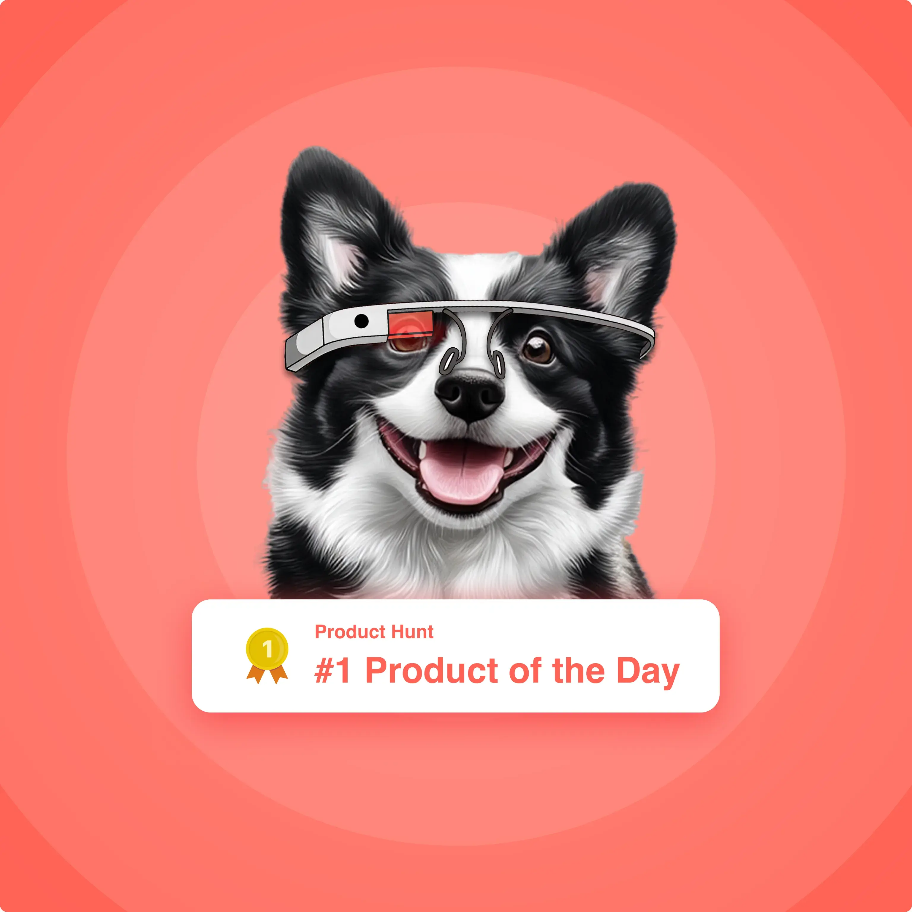 A dog owner using the PawChamp app on a smartphone while training their dog outdoors.